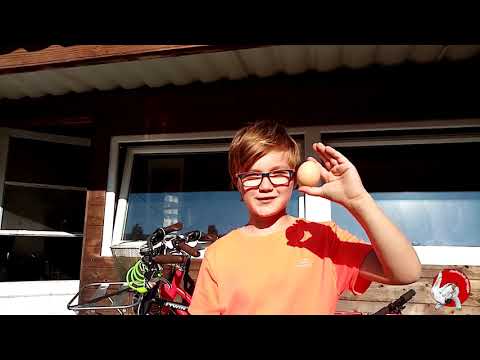 Judo at home - 13) Judo at home challenge 4