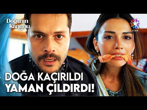 Yaman'ın, Doğa İçin Gözü Kara Mücadelesi: Seni Balıklara Yem Ederim! | Doğanın Kanunu 7. Bölüm