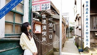 【佐渡大満喫】1泊2日で主要スポットを回るモデルコース！世界遺産・自然・猫・地元料理を堪能🗾