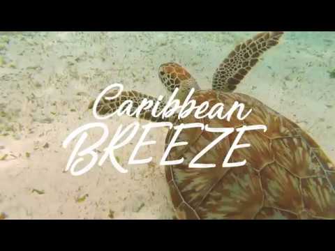 Caribbean Breeze