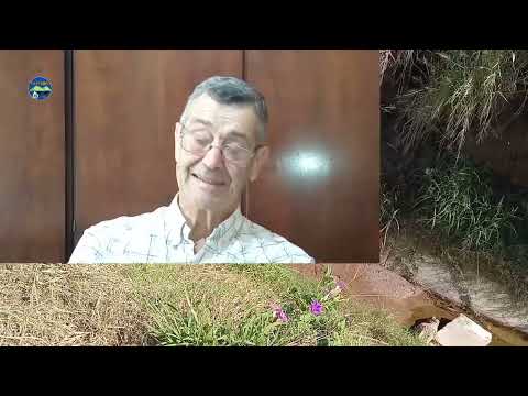 El agua de riego en Colonia Vicente Agüero