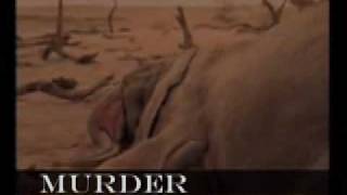 Monrose *Everybody Makes Mistakes*