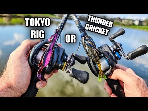 Watch Thunder Cricket and Tokyo Rig  Bank Fishing for Bass Video on