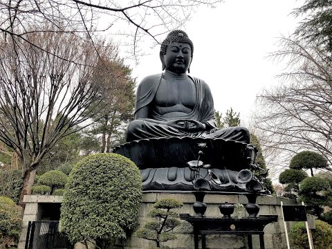 The 3rd largest bronze statue of a Sitting Buddha in Japan is in Tokyo at Joren Temple・乗蓮寺（大仏）東京