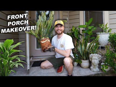 Front Porch Plant Makeover On A Budget!!