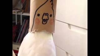 Bird sings in to a TP roll