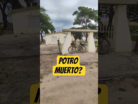 Potro Muerto a pedal: Silencio, campo y educación 🌾