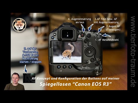 Canon EOS R3 - mein AF Konzept und Button Konfiguration für die Tierfotografie (Deutsch)