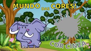 Mundo das Cores - Cinza