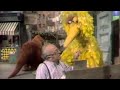Sesame Street Episode 0278 Street Scenes Mr Hooper Misses Seeing Snuffleupagus 1971