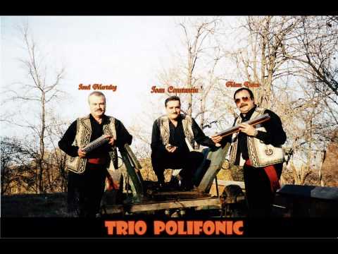Trio Polifonic - Ce n-as da sa mai fiu mica