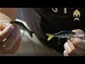 Westin Ricky the Roach Swimbait, 8cm - Crazy Firetiger - 7g - 1 Stück