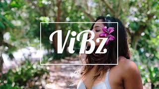 DJ ViBz | T-Pain - Buy you a drunk (ZOUK REMIX)