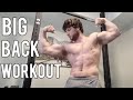 High Volume Back & Biceps Workout
