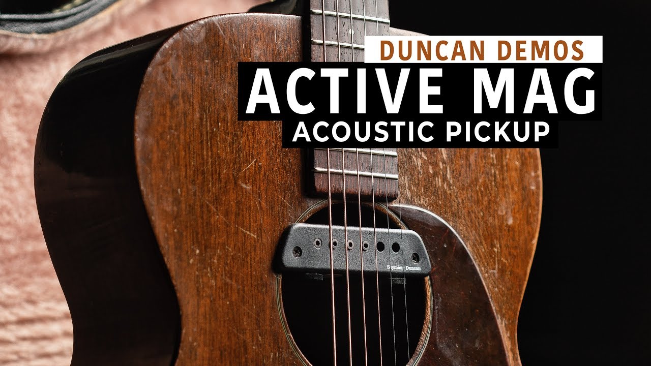 Seymour Duncan Active Mag Acoustic Guitar Soundhole Pickup
