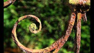 rusting gate - Kelly Joe Phelps