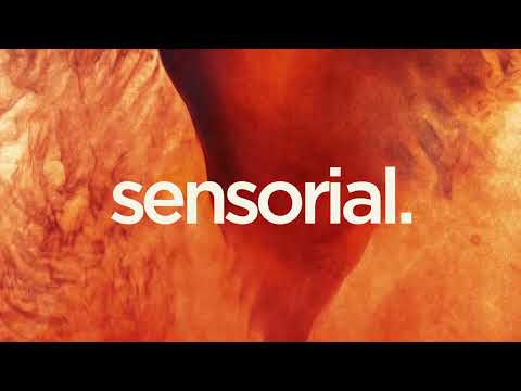 Kid Enigma, Jay de Lys - The Realest Original Mix