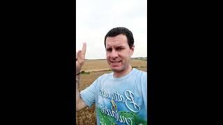 PÕE A SEMENTE NA TERRA NÃO SERÁ EM VÃO - Por Robespierre Ferrazza