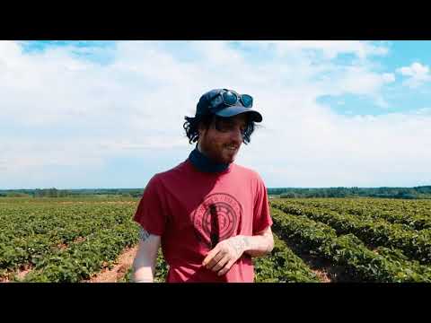 Paix (clip) - Cinimod