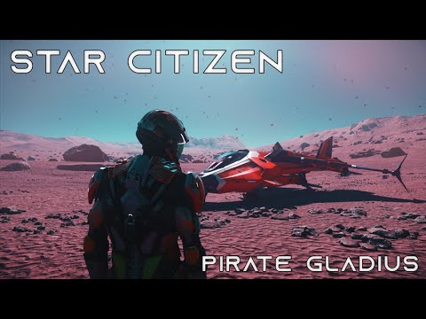 Star Citizen - Pirate Gladius