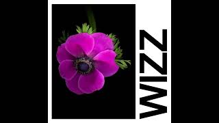 Wizz Music Video