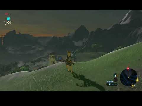 BOTW Ranged Only Challenge