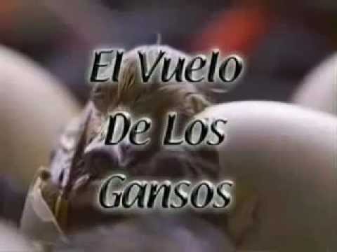 El vuelo de los Gansos
