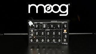 Video thumbnail for Moog MINITAUR Analog Bass Synthesizer | Gear4music demo by Gear4music Guitars