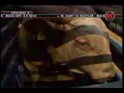 PBR Champ Adriano Moraes rides Handsome Jack