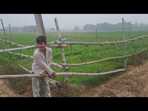 Kunda Pratapgarh  230129