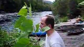 Just Another Love Song