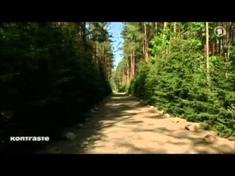 Sanierungsfall Auschwitz - Wie viel ist Deutschland das Gedenken wert