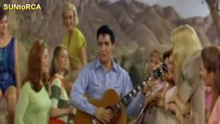 Elvis Presley - Night Rider (Extended Video Dub)