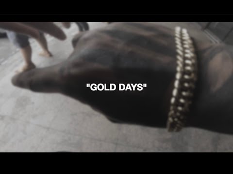 LQTV - GOLD DAYS [EPISODE 198]
