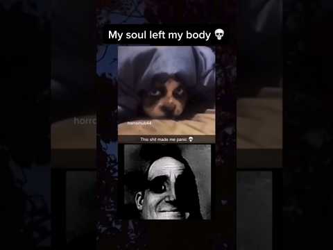 Skinwalker disguised as a dog?! 😱 #skinwalker #skinwalkers #creepy