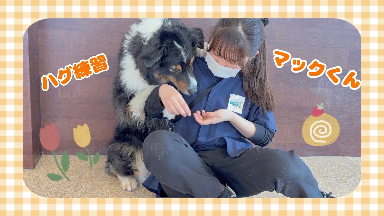 【犬の幼稚園】紫竹山店💐マックくんのハグ練習💐
