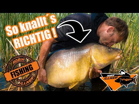 So knallt´s richtig | Angeln auf Karpfen unter Büschen im Baggersee.