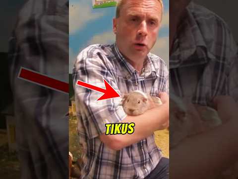 Tikus Belanda Ni Pecah Masuk Kandang Betina 😱 Lepastu...