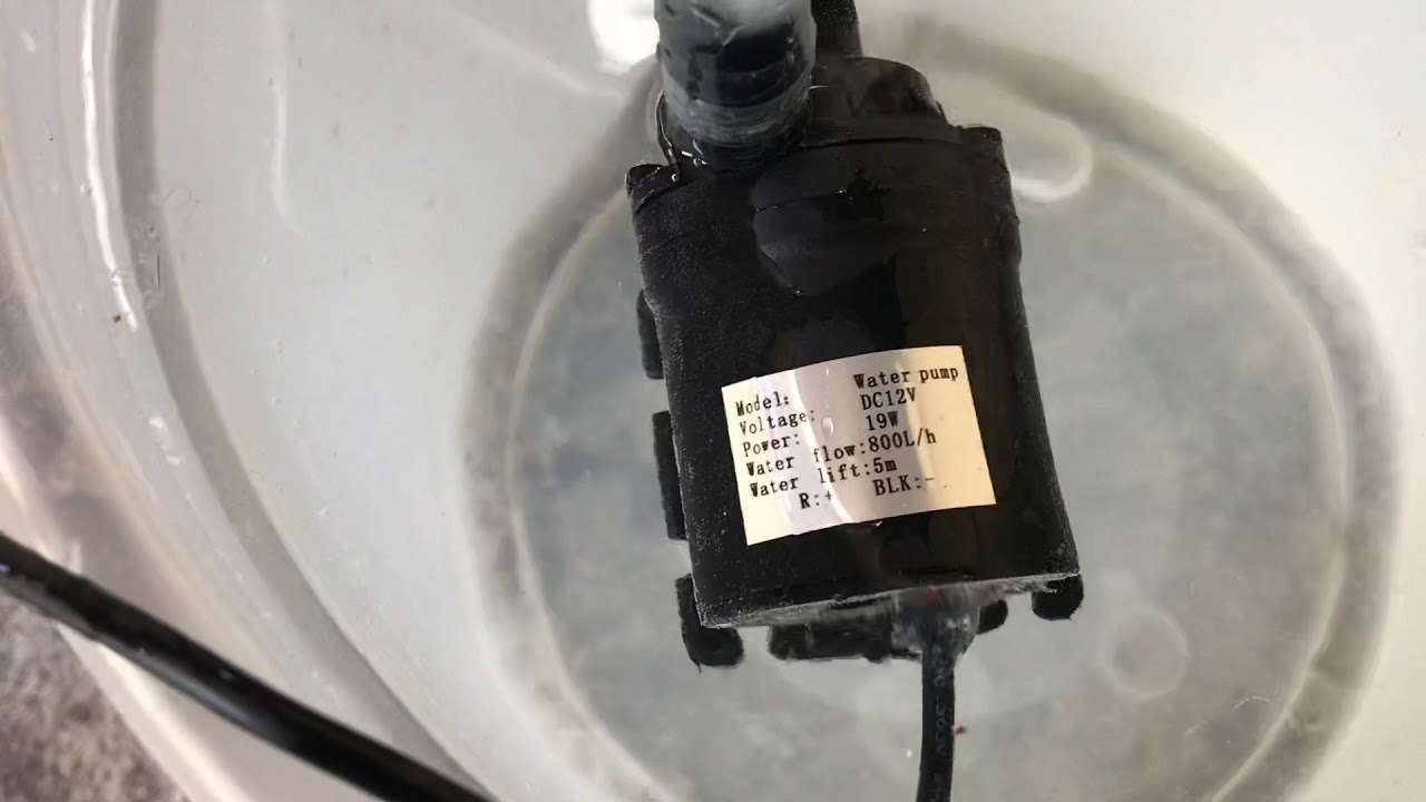 Watch Bomba de agua 12v 800L/H Now Bomba de agua 12v 800L/H