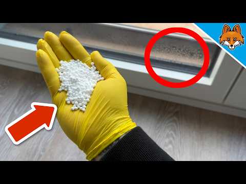 Wie du Feuchtigkeit & Schimmel für IMMER loswirst!💥(Ohne Strom)🤯
