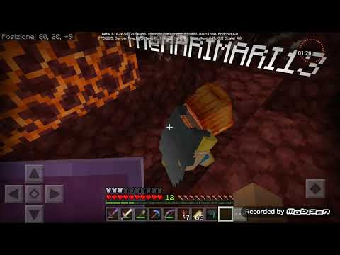 stavo per perdere la mia enderchest-MINECRAFT VANILLA #11