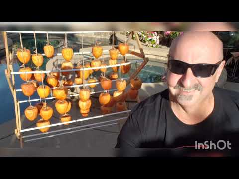 Homemade Hoshigaki Persimmons