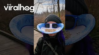 Giving the Bird Face Feeder a Try || ViralHog