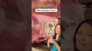 Apologies in advance if this video ruins your dinner 🫣🤮 ⁠