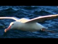 One Day I'll Fly Away (Instrumental) 