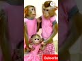 Amma Pade Jola Pata Song Telugu Songs Viral Latest Treanding Shorts Monkey