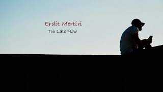 Download lagu Erdit Mertiri - Too Late Now (Original Mix) mp3 Download lagu Erdit Mertiri - Too Late Now (Original Mix) mp3