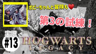 #13【ホグワーツレガシー】実況プレイ　ポピーちゃんと冒険したり第3の試練受けたり