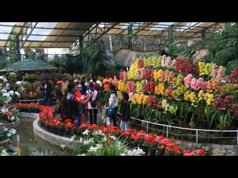 FLOWER SHOP, NAZIR PATTY, SILCHAR