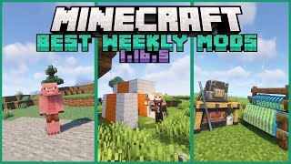 Top 25+ New Mods Released for Minecraft 1.16.5 on Forge & Fabric This Week!